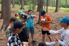 Obrazek-WhatsApp-2023-07-26-v-16.22.25